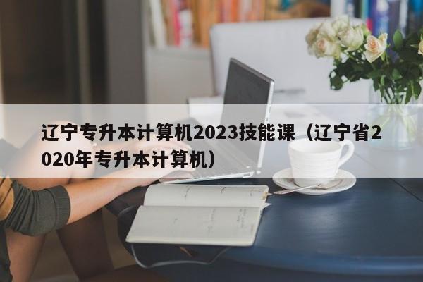 辽宁专升本计算机2023技能课（辽宁省2020年专升本计算机）